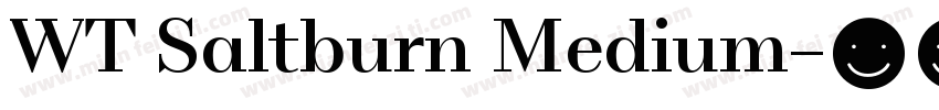 WT Saltburn Medium字体转换